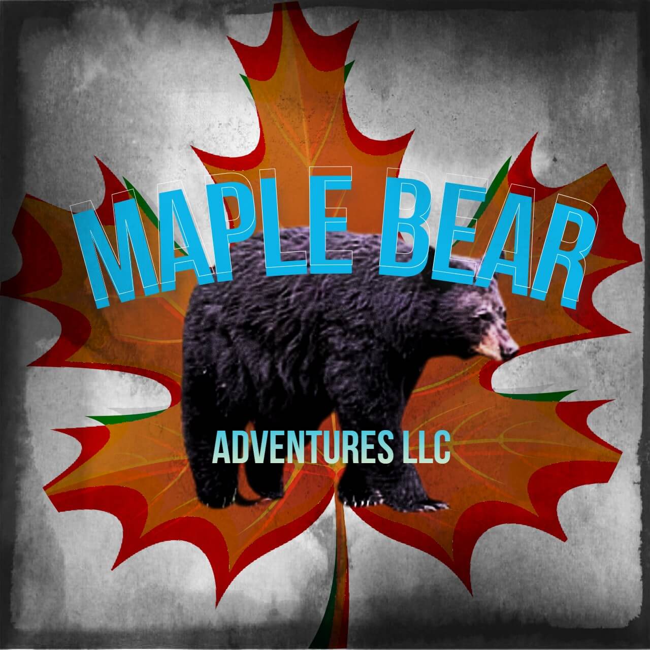maple bear adventures logo
